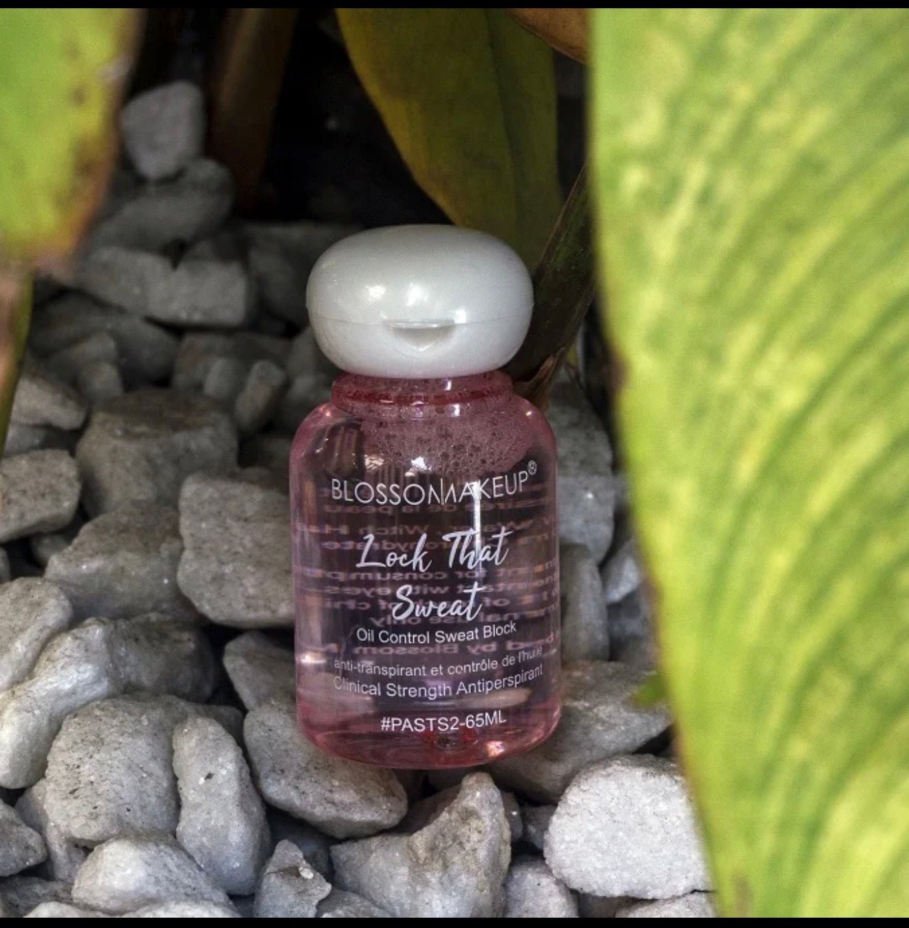MUSEBEAUTYHOUSE FOND DE TEINT